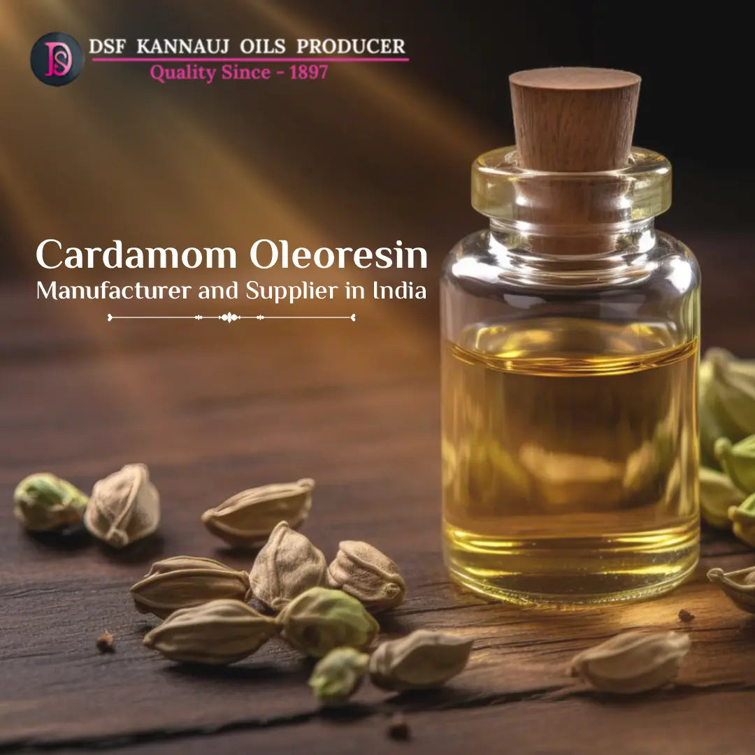 Cardamom Oleoresin Manufacturer and Supplier in India